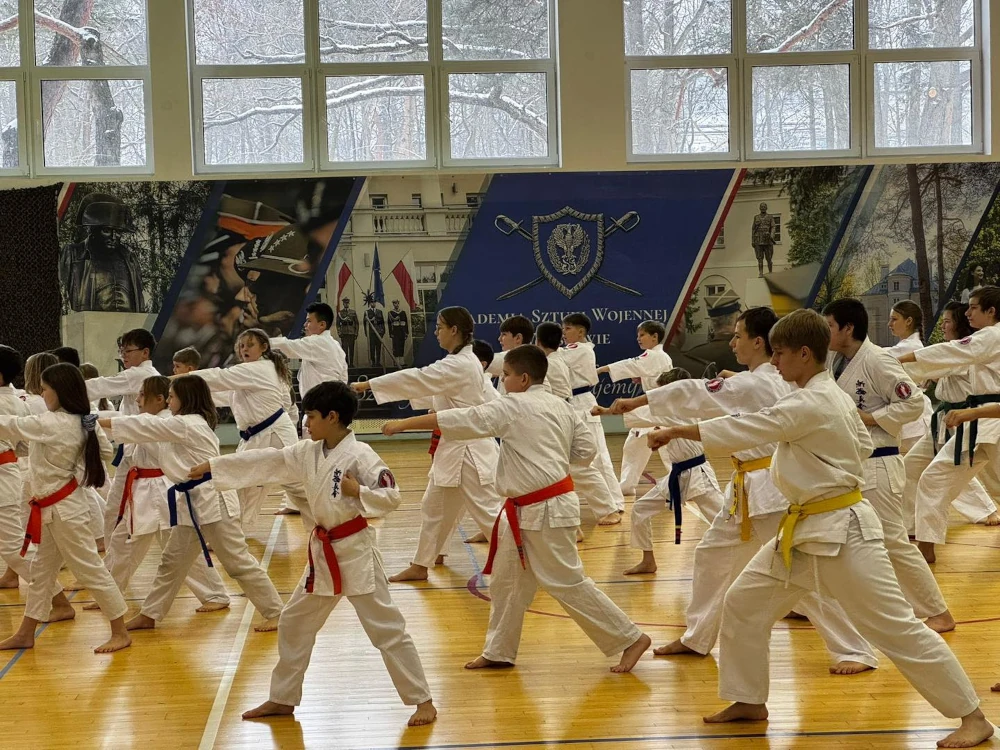 egzamin na stopnie uczniowskie kyu